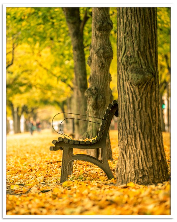 Autumn in Stockholm