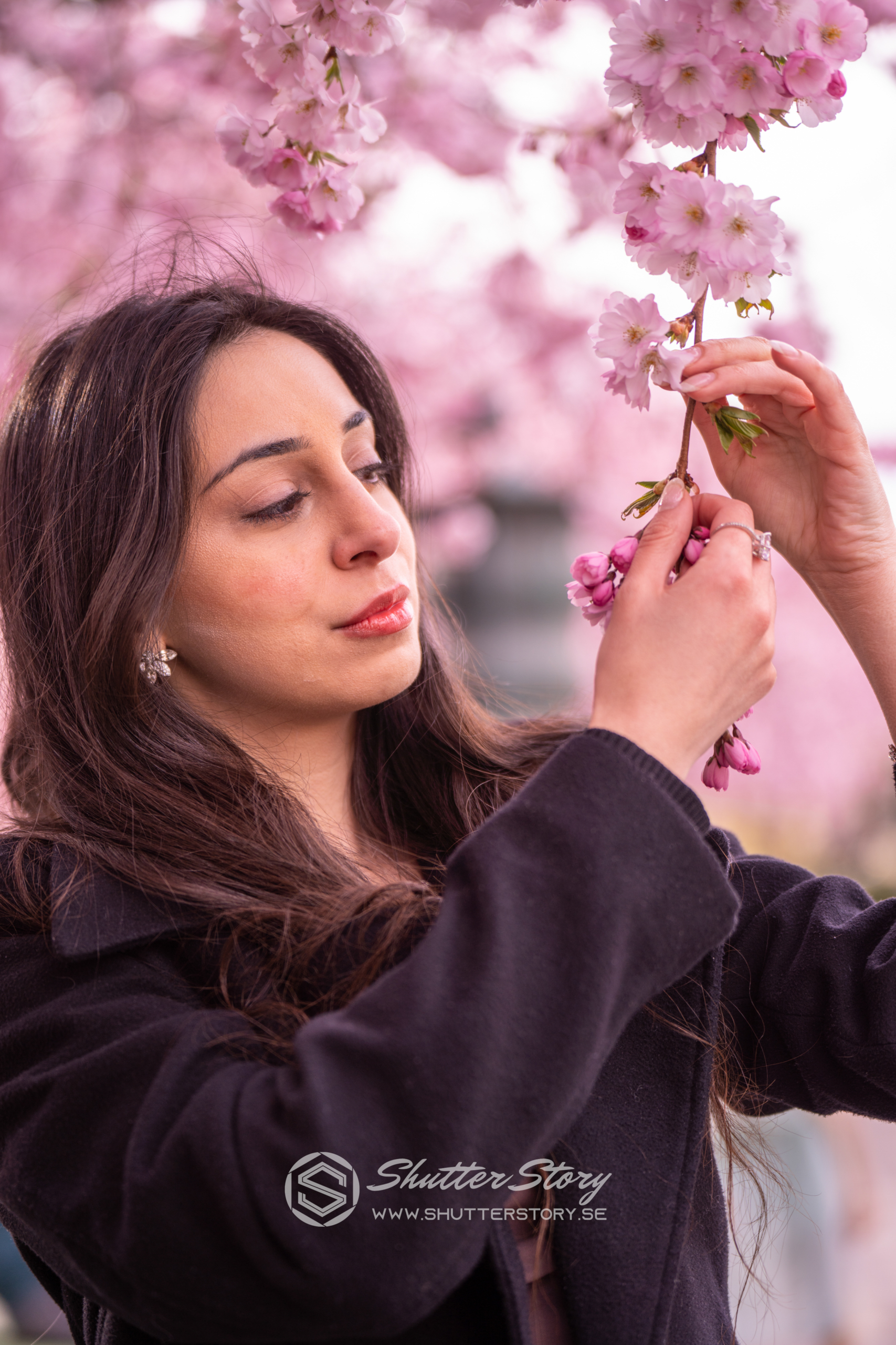 Cherry Blossom Photoshoot in Kungsträdgården,Stockholm 2025
